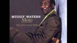 Muddy Waters - Rock Me chords