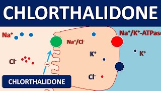 Chlorthalidone - A thiazide like diuretic