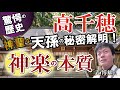 神話と神楽のメッカ高千穂にはウラがある 古神道の神髄を継ぐプロが明かす 誰も知らない日本の叡智オンライン配信part4天孫降臨神話「表と裏」表博耀氏