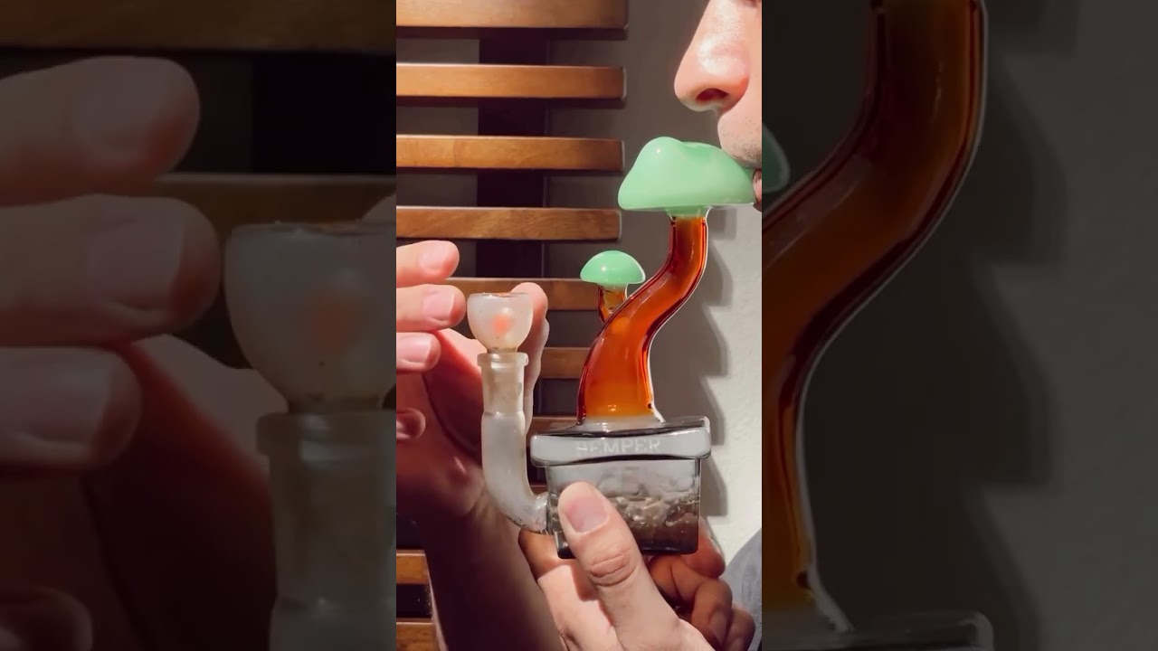 Our Bonsai Bong is a bestseller 💯