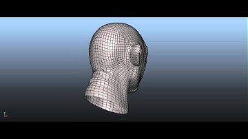 IDS DA - Mudbox - Introduction to Face Sculpting - wire view