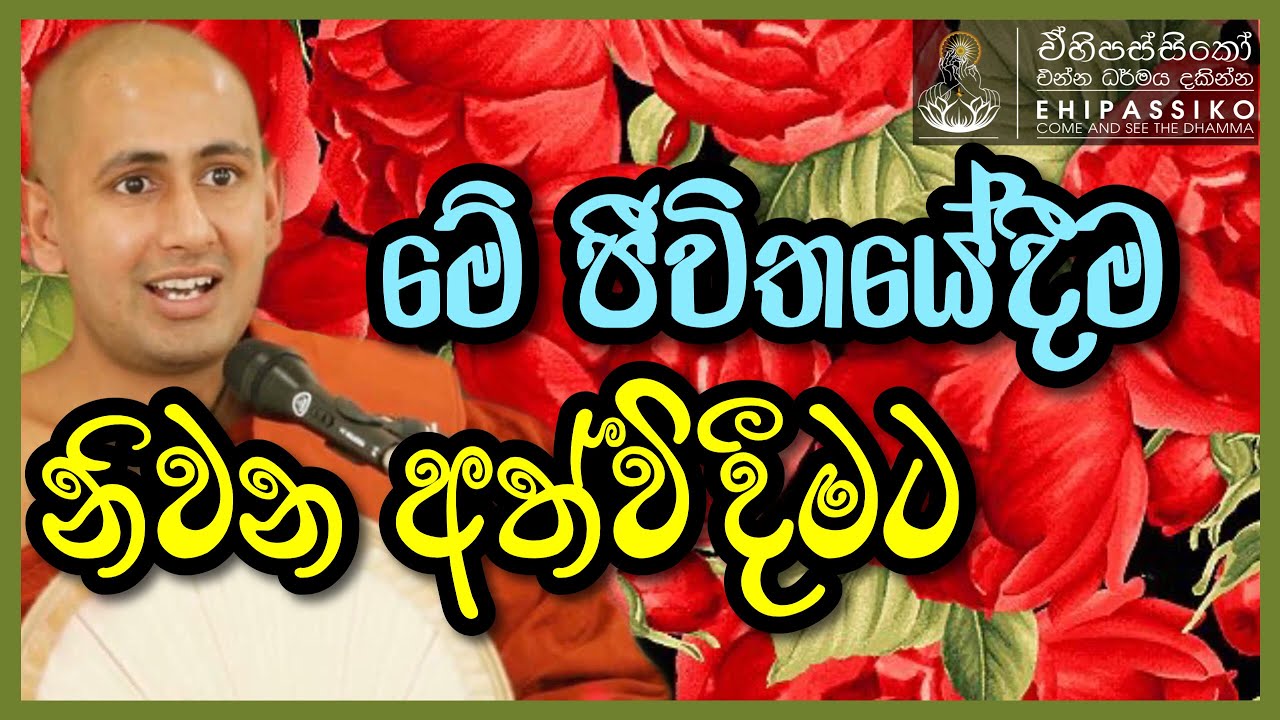මේ ජීවිතයේදීම නිවන අත්විදීමට | Ven Kotmale Kumara Kassapa Thero | පූජ්‍ය කොත්මලේ කුමාර කස්සපහිමි