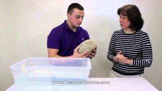Pumice Pumice