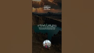 تلاوة من سورة مريم | بصوت القارئ زين بدور