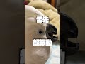 オウムの前でマラカスを振ると明らかに目がキマってて怖い#shorts