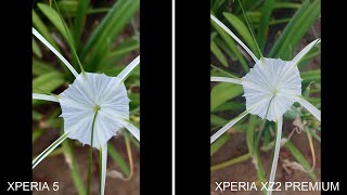 Sony Xperia 5 VS Sony XZ2 Premium [ Daylight Photo Comparison]