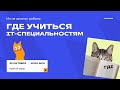 Их не заменят роботы: где учиться IT-специальностям