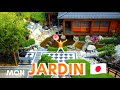 Je vous présente mon jardin japonais en France (avec papa)