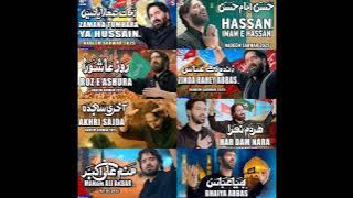 Nadeem Sarwar full album||mp3||#nadeemsarwar #zamanatumharayahussain |#Hassanimamehassan||#noha #mp3