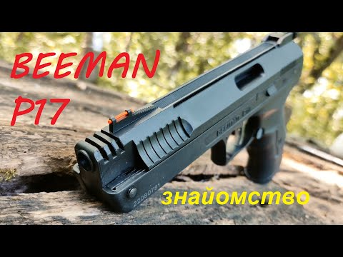 Знайомлюся з BEEMAN P17