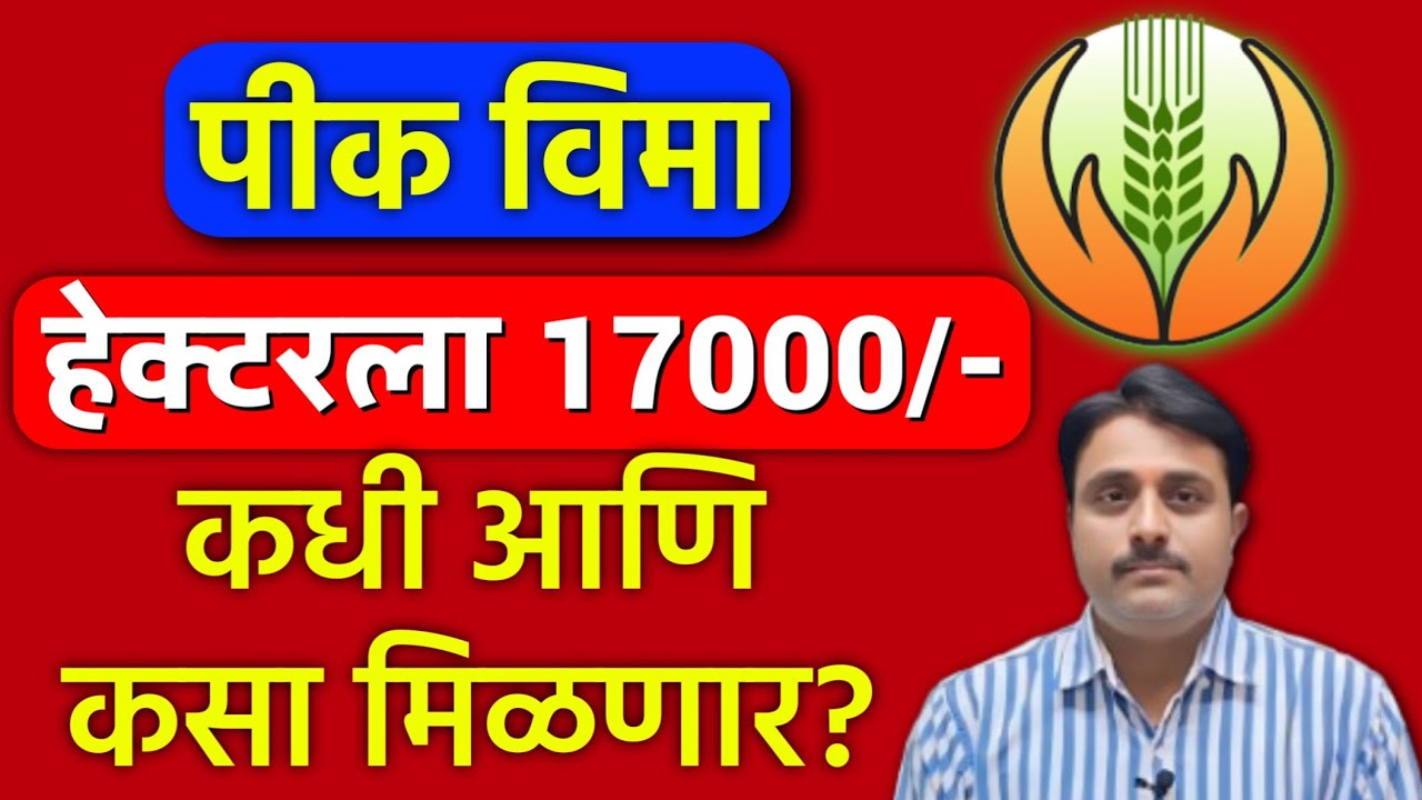पीक विमा पैसे कधी मिळणार | हेक्टरी 17000 हजार घोषणा 💰 | Pik Vima Yojana 2025 Update