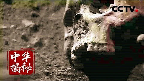 《中華揭秘》 包山大冢——距今2300多年的楚國超級大墓 20180518 | CCTV科教 - 天天要聞