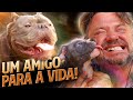 MICRO BULLY, O MELHOR CÃO PARA COMPANHIA! | RICHARD RASMUSSEN