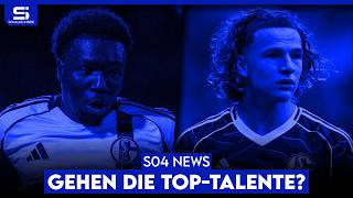 Famous Wallentowitz in die Bundesliga? Bleibt Tchibara Reservist? Abwehr-Talent im Sommer weg? | S04 NEWS Wealth