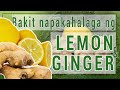 Amazing benefits of Lemon & Ginger | benepisyo ng Lemon at Luya
