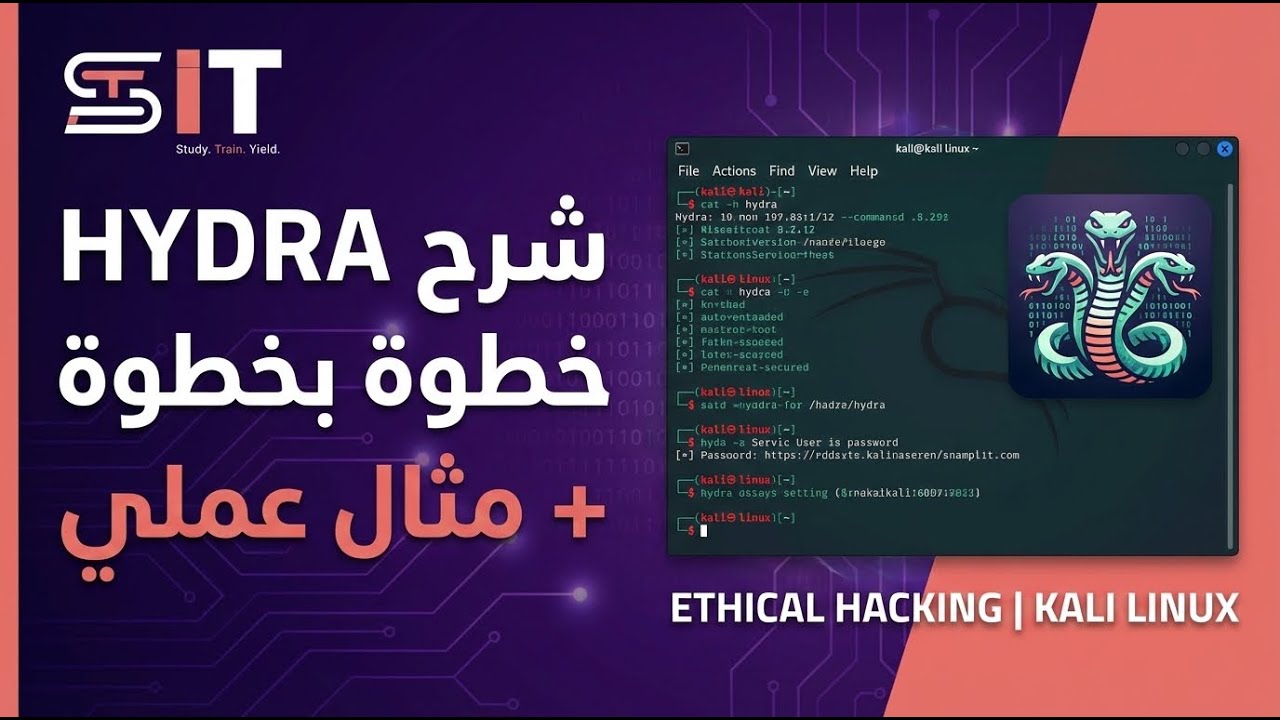 شرح Hydra خطوة بخطوة + مثال عملي (Ethical Hacking | Kali Linux) - YouTube