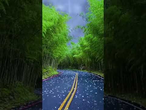 الاذان بصوت فتاة من شرق آسيا سبحان الله العظيم أجمل صوت سمعته