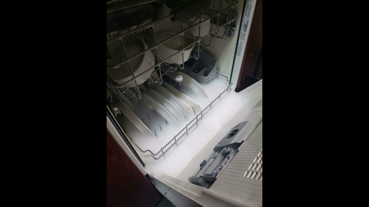 wait- cacpog (prod. BRXDSHXW x Ayoley)