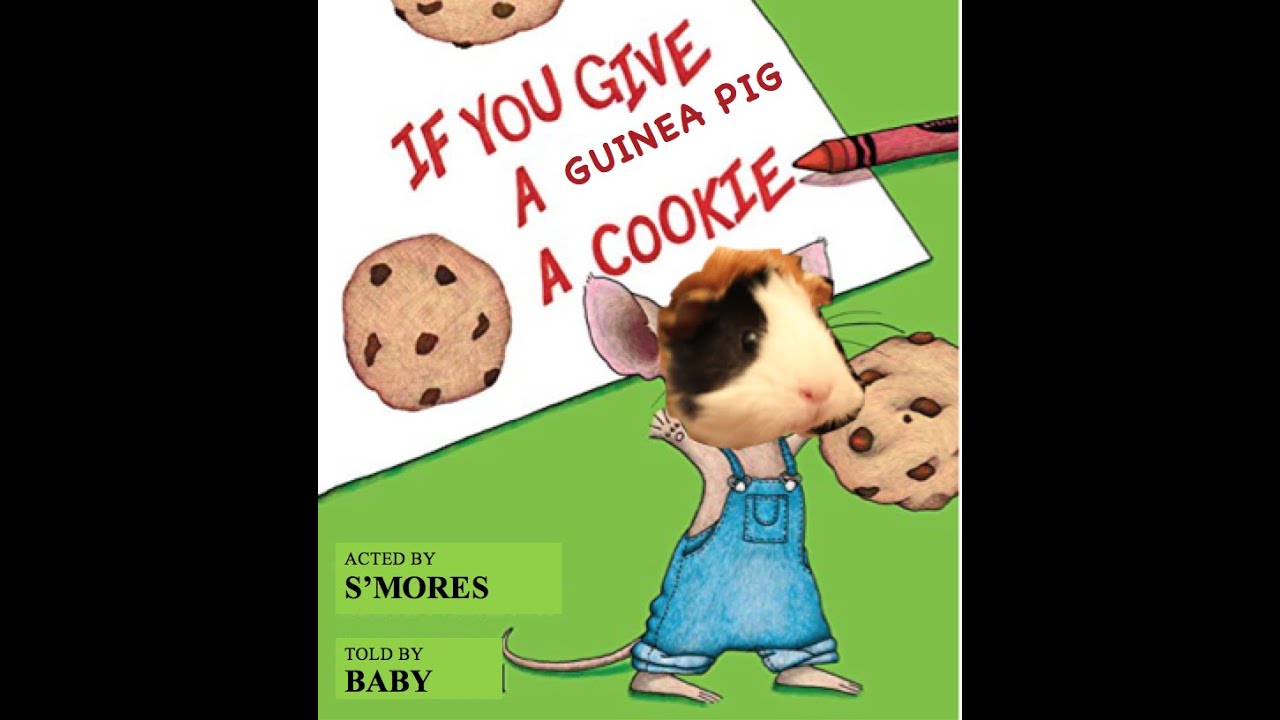 Bedtime stories with Smores and Baby "If You Give a Guinea Pig a Cookie" YouTube
