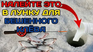 Налейте это в лунку для бешенного клева рыбы зимой! Как приманить и удерживать рыбу у лунки зимой?