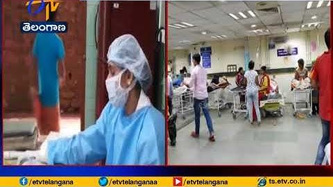 6 Dead From Mysterious Nipah Virus In Kerala | Centre Sends Team