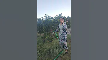 ملقيت ميدار النظافه Explore تيك توك الغلا Love نفيسه Amazigh المراه 