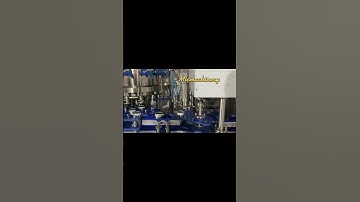 Beer Canning Machine How to Fill Beer in Cans (1000 2000CPH Carbonated Drink Can Filling Machine)