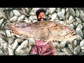 Sayalgudi Dry Fish Factory | ഉണക്കമീൻ ഉണ്ടാകുന്നത് കണ്ടിട്ടുണ്ടോ | M4 Tech | image