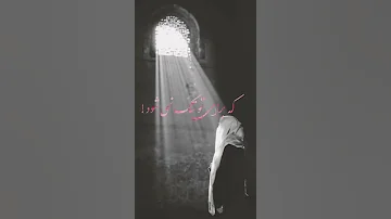 امام زمان 