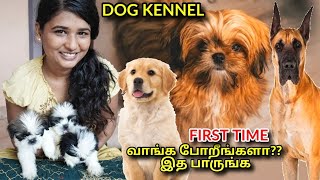 DOG KENNEL IN CHENNAI/Labrador Retriever,Shih Tzu, Dane puppies for sale in chennai