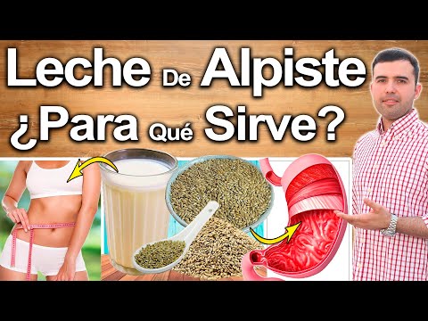 LECHE DE ALPISTE - ¿Para Qué Sirve El Alpiste? - Beneficios Para Tu Salud Y Belleza hqdefault