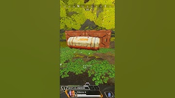 Just a P2020 vs Panic... (Apex Legends)