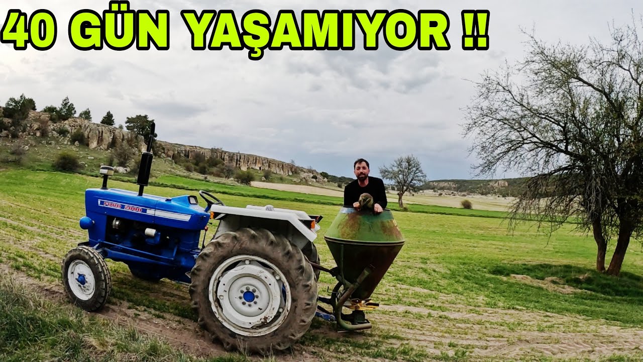 MAŞALLAH DEDİĞİMİZ BOMMM~YAYAN  KALDIK~ÇOBAN ARLADAŞLARIYLA YEMEK