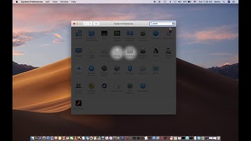 How to enable entire screen zoom on macOS Mojave