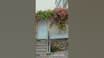 قرآن كريم أرح سمعك و قلبك♥️🫀 #قرآن #اسلام_صبحي #تلاوة_خاشعة #عبد_الرحمن_مسعد #اقتباسات #