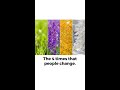 The Four Times that People Change