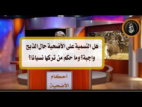 هل التسمية على الأضحية حال الذبح واجبة وما حكم من تركها نسيانا الشيخ هشام البيلي