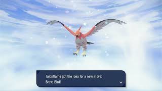 Fletchinder evolved into Talonflame Pokemon Legends Z-A