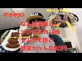 なんばの美味しいジンギスカンのお店 生ラム肉専門店 らむ屋さん