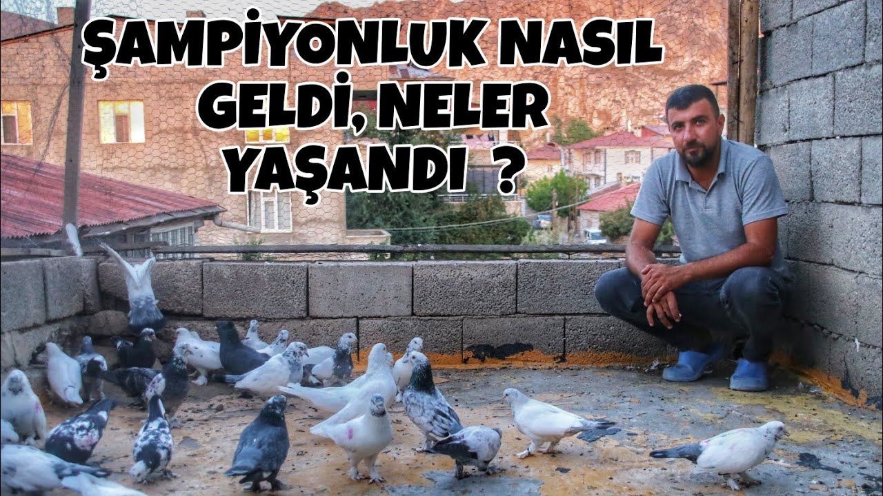 BİR ŞAMPİYONUN HİKAYESİ..ERDAL KAPLAN VE YILLARA DAYANDIRDIĞI GÜVERCİNLERİ !