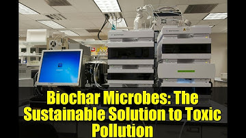 Biochar Microbes: The Sustainable Solution to Toxic Pollution