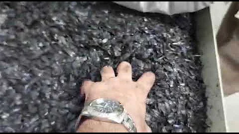 Hdpe recycling Machine | Blue drum waste recycling | Plastic Recycling Machine | Plastic extruder