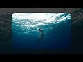 Melodic edm playlist  chill edm songs 2023