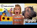 Baby Noah | Baby Einstein Classics | Learning Show for Toddlers | Kids Cartoons | Fun with Animals