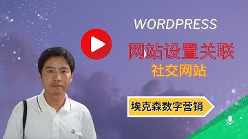 29.WordPress网站设置关联社交网站（elementor）-埃克森数字营销