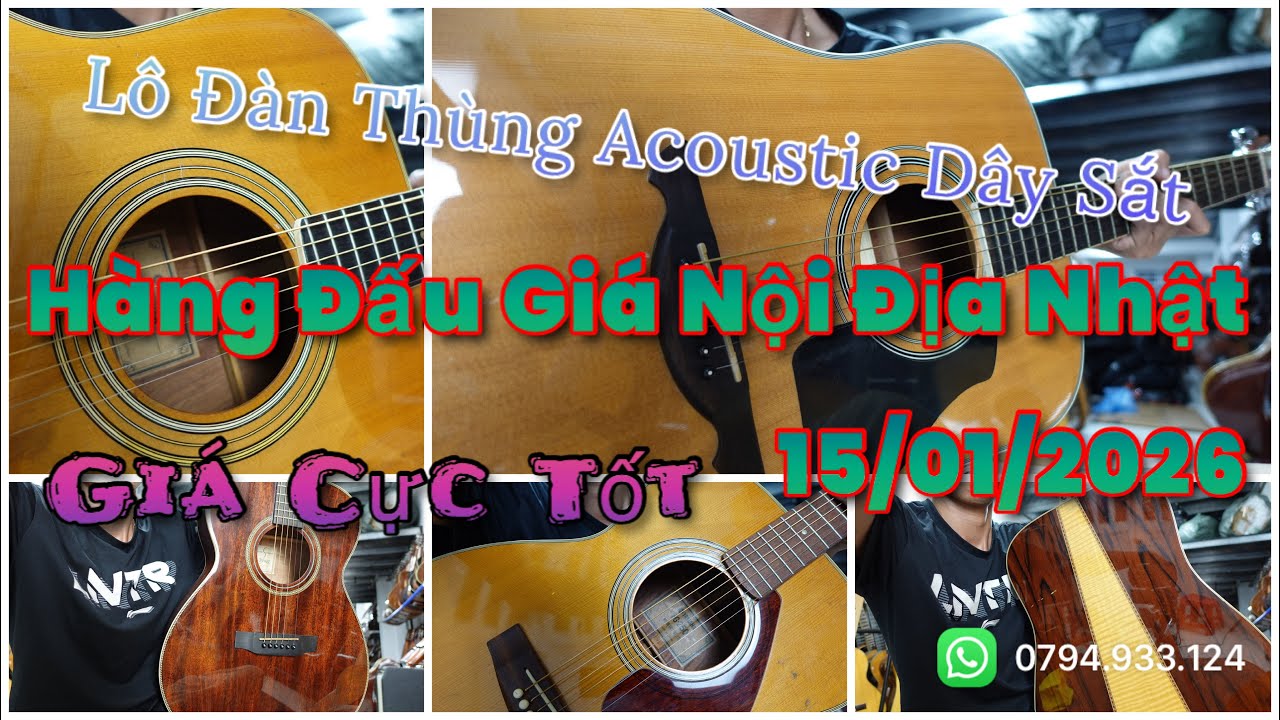 Giới Thiệu Lô 5 Cây Đàn Thùng ACOUSTIC Nội Địa Nhật l 15/01/2026