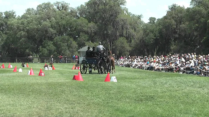 Darryl Billings Cones Live Oak International CAI 2...