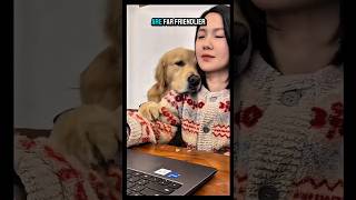 Amazing Golden Retriever Facts You Didn't Know 🐶#dog #shorts
