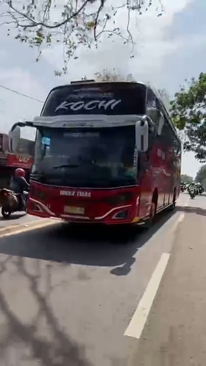 MIKKA TIARA KOCHI CINTA SATU MALAM 😎 #kochi #busartis #mikkatiara #busartis #basuri #busmania