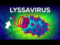 Le virus le plus mortel sur Terre